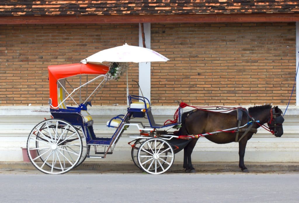 horse-carriage
