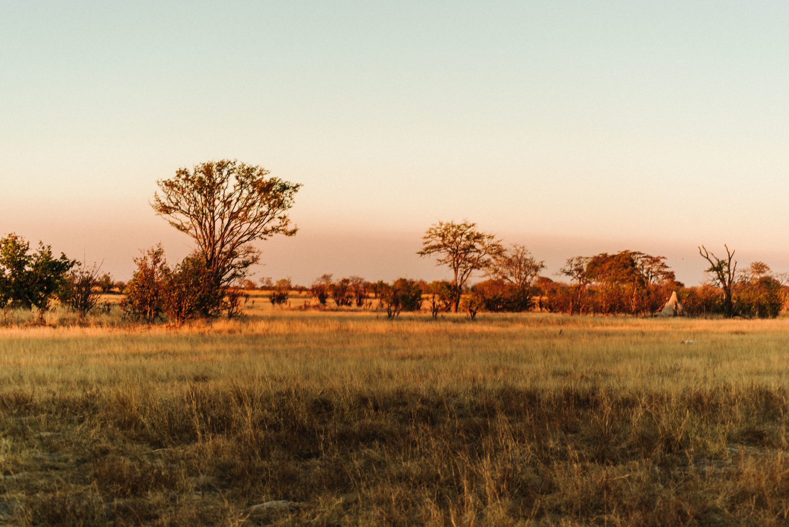 sunset-zimbabwe